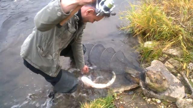 Щука на вертушку #1 смотреть онлайн