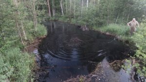 Кастинговая сеть с кольцом большая! Американка с кольцом. рыбалка на кружки