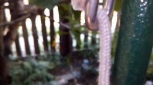 Как сделать крепкую веревку из пластиковой бутылки - How to make rope from plastic bottles diy