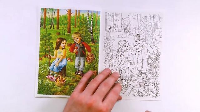 Раскраска «Лето» серии «Окружающий мир». Обзор смотреть онлайн