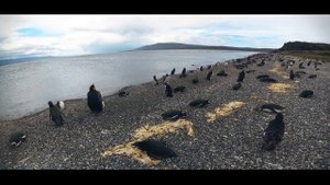 Треккинг по Патагонии. Аргентина, Чили. Patagonia Travel  2016