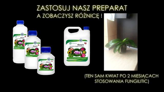 Pielęgnacja storczyków - Jak pielęgnować storczyki? | NES Fungilitic смотреть онлайн