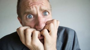 Дельфиниум от посева до цветения