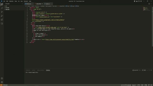 Learn HTML | MDN Web Docs_  CSS Basics