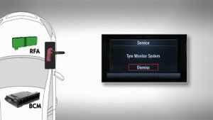 Описание работы системы контроля давления в шинах DDS и TPMS на автомобилях Opel