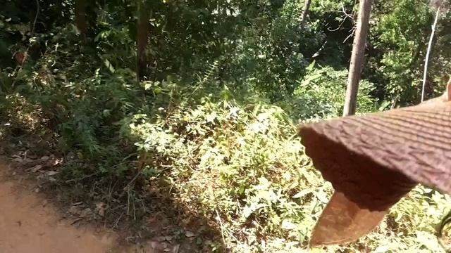 катание на слонах в Тайланде