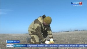 Погода  пришла в помощь ставропольским аграриям