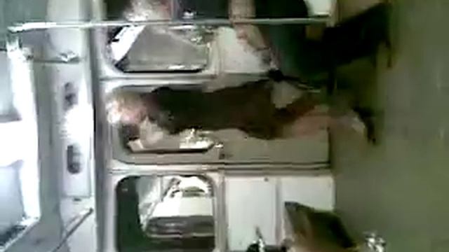 Пьяная девка в метро смотреть онлайн