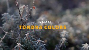 YAMAL TUNDRA COLORS