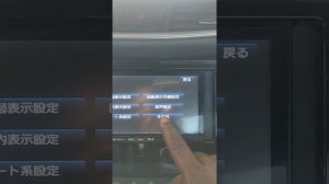 Panasonic strada r300d camera settings