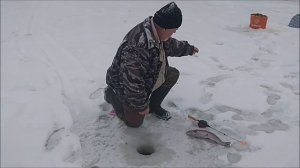 Поимки до запуска продолжаются. Клёвое место, Лосиный остров.