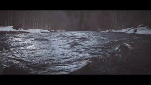 ВЕПССКИЕ РЕКИ: Сплав по реке Капша / Таинственное чудовище