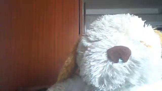 кокурс от тедди беар смотреть онлайн