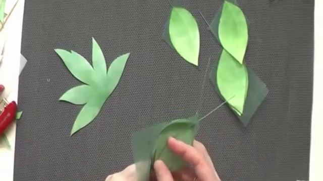 роза Бланш обработка листьев смотреть онлайн