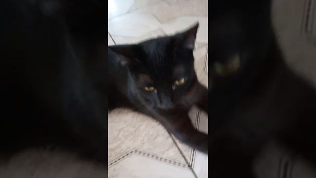 трек луна и я(12.августа.2022) смотреть онлайн