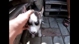 Уха в казане на костре!!!