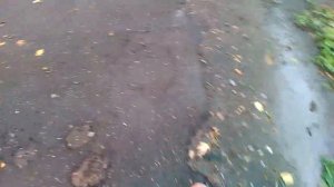 Погода в городе сарапул