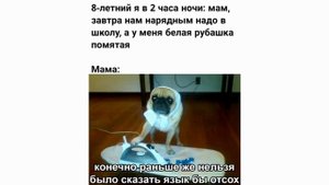 Подборка из Мемов #14 Если ты понимаешь мем то ты избранный