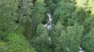 Алтай Телецкое озеро, горнолыжный курорт Шале Поляна и Финские дачи Манжерок