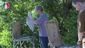 Пленэр в Детской художественной школе