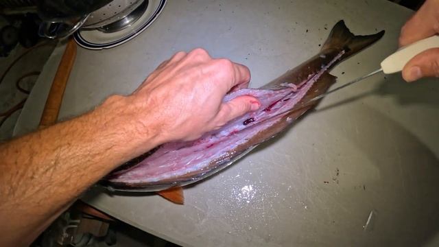 Night Fishing In The Kayak смотреть онлайн