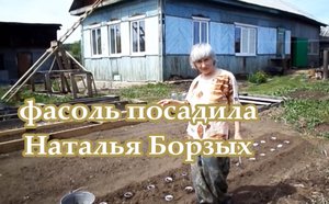 фасоль ля миа.mp4