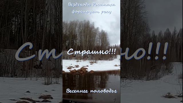 Переправа/вездеходы Росомаха форсируют реку
