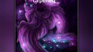 кто ты по знаку зодиака из волшебных кошек