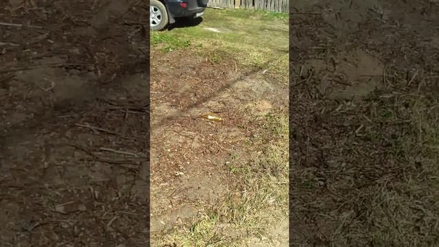 корчевание пня с помощью бензопилы