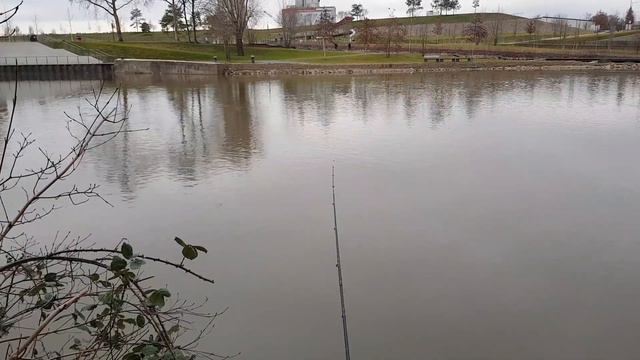 Ловля леща с берега смотреть онлайн