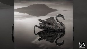 Смертельная красота: ОЗЕРО НАТРОН