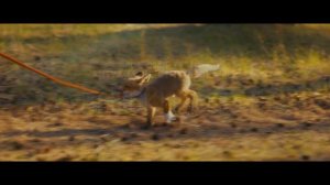 Мой дикий друг  — Русский трейлер, 2024 (8 Августа)