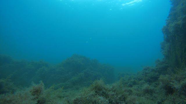 [4K] Первые дни осени в Черном море. смотреть онлайн