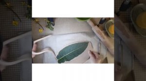 Лепка из глины. Тарелка листик.