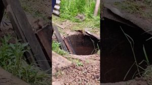 Нападение бобра на сотрудника МЧС. Спасение бобра из колодца. An attack beaver.