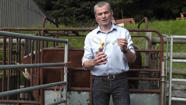 Cattle injections with Sterimatic system for safer cleaner injections смотреть онлайн