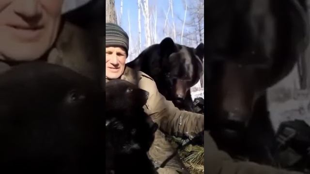 Медведь 🐻.