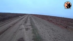 Охота на зайца и шакала в Ставропольском крае. Открытие 2021