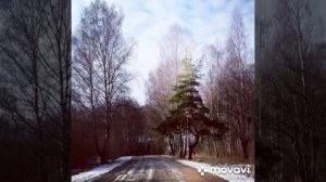Сергей Трофим. Две судьбы. Военные песни Авгана. Афганистана.