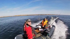 РИБ буревестник 390 2019