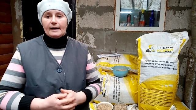 Нужно ли ЗАПАРИВАТЬ комбикорм. Как ПРАВИЛЬНО использовать комбикорм.
