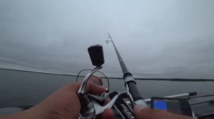 Рыбалка на Ладожском озере. Назия. + обзор спиннинга Hearty Rise Volga Game vg-802MH 14-56