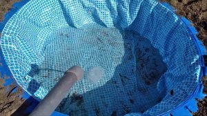 Водоём из старого бассейна