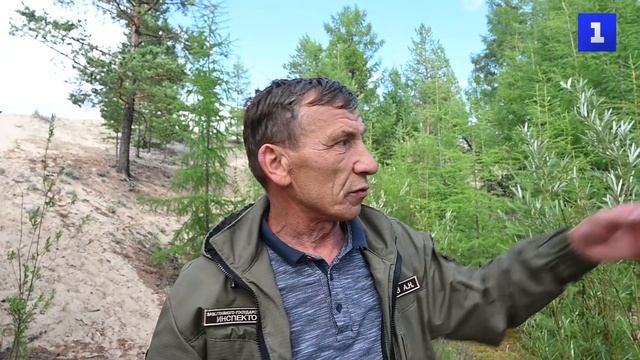 Урочище «Чарские пески» — неповторимая пустыня посреди тайги