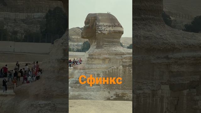 Сфинкс #сфинкс #египет