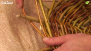 Как сделать гнездо для аистов