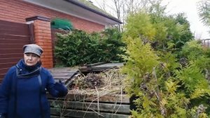 Видео журнал «Сады в отличной форме №7»