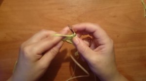 ВЯЖЕМ СПИЦАМИ:  V- ОБРАЗНЫЙ ВЫРЕЗ (РЕГЛАНОМ СВЕРХУ)