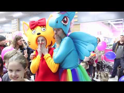 Франшиза детских игровых комнат «Лаборатория Пингвинов»