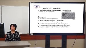 Лекция «Клетка. Структура и функции внутриклеточных органелл эукариотической клетки». Часть1